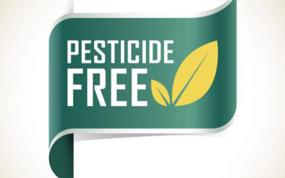 Protect your Body from Harmful Substances by thoroughly washing your Produce